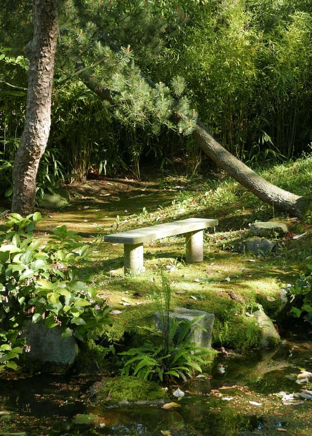 Field Trip: Arthur Erickson’s Secret Garden